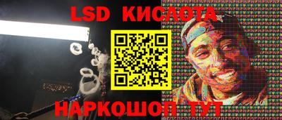 шишки Будённовск