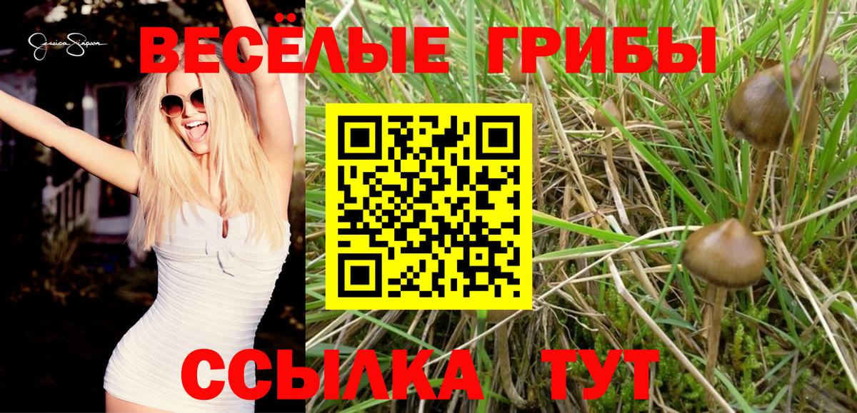 Галлюциногенные грибы мухоморы Киржач