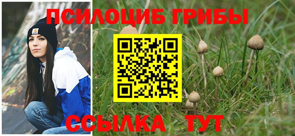 Псилоцибиновые грибы Psilocybine cubensis  купить  цена  Галлюциногенные грибы MAGIC MUSHROOMS  Киржач  Вход с VPN 